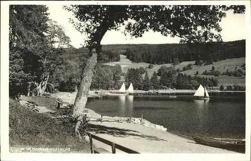 Titisee Hochschwarzwald Segelschiffe Kat. Titisee Neustadt