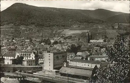 Neustadt Weinstrasse  Kat. Neustadt an der Weinstr.