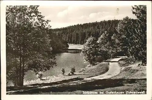 Grafenhausen Schwarzwald Schluechtsee Kat. Grafenhausen