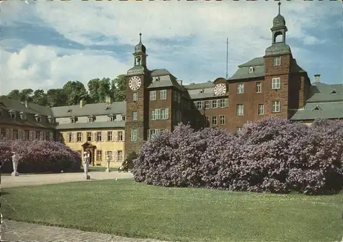 Schwetzingen Schlossgarten Fliederbluete Kat. Schwetzingen