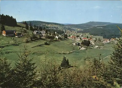 Altglashuette Schwarzwald Luftkurort  Kat. St. Maergen