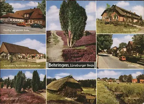 Behringen Bispingen Gasthof zur gruenen Eiche Dorfstrasse Haus Heidhof / Bispingen /Soltau-Fallingbostel LKR