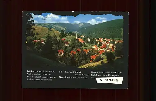 Wildemann Spruch Kat. Wildemann Harz