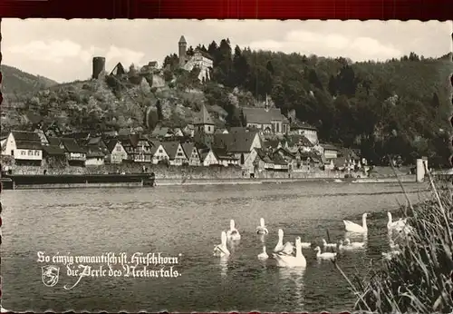 Heidelberg Neckar Schwaene Kat. Heidelberg