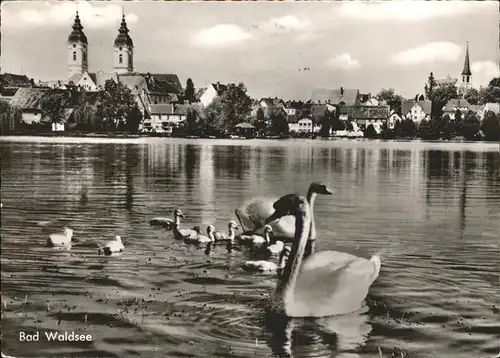 Bad Waldsee See Schwaene Kat. Bad Waldsee