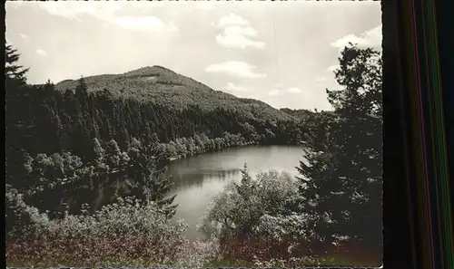 Bad Saeckingen Waldcafe am Bergsee Kat. Bad Saeckingen