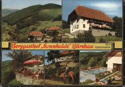 Buerchau Berggasthof Sonnhalde Kat. Buerchau