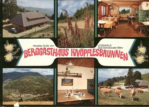 Utzenfeld Schwarzwald Berggasthaus Knoepflesbrunnen Kat. Utzenfeld