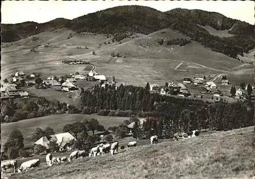 Bernau Schwarzwald Panorama Kat. Bernau im Schwarzwald