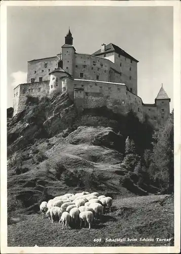 Tarasp Schafe Schloss Kat. Tarasp