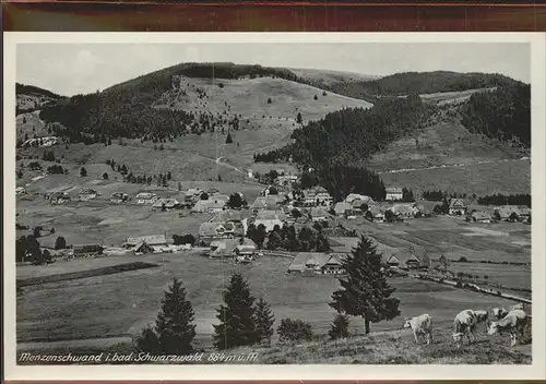 Menzenschwand Panorama Kat. St. Blasien