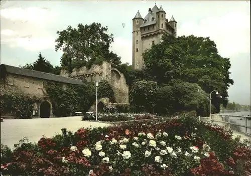 Eltville Burg Kat. Eltville am Rhein