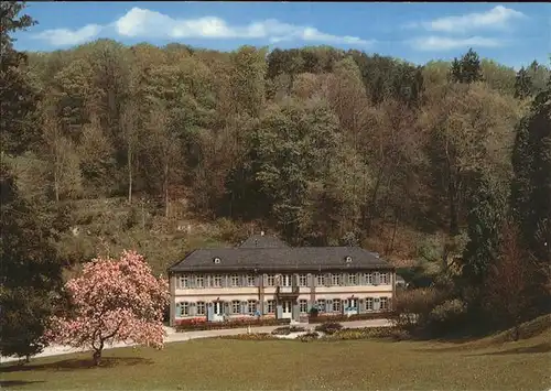 Auerbach Bergstrasse Parkhotel Herrenhaus Restaurant Adolf Patzelt Kat. Bensheim