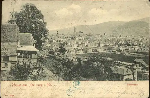 Freiburg Breisgau Panorama Kat. Freiburg im Breisgau