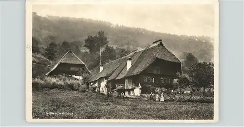 Schwarzwaldhaeuser  / Gebaeude und Architektur /