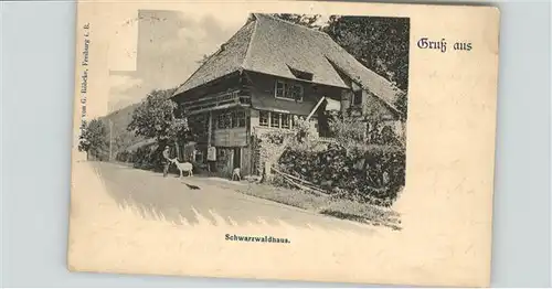 Schwarzwaldhaeuser  / Gebaeude und Architektur /