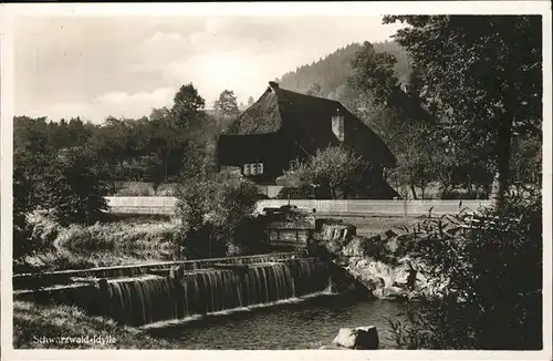 Schwarzwaldhaeuser  / Gebaeude und Architektur /