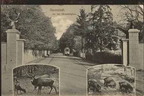 Strassenbahn Darmstadt An den Hirschkoepfen Wildschweine Hirsche Kat. Strassenbahn