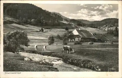 Schwarzwald Idyll Kuehe Kat. Regionales