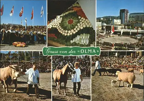 Landwirtschaft Olma St. Gallen Schweiz Messe Pferd Schafe Kat. Landwirtschaft