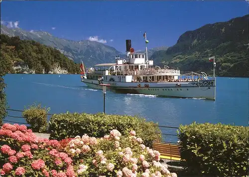 Dampfer Seitenrad Loetschberg Brienzersee  Kat. Schiffe