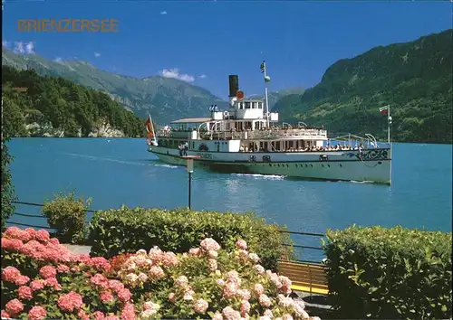 Dampfer Seitenrad Loetschberg Brienzersee Kat. Schiffe