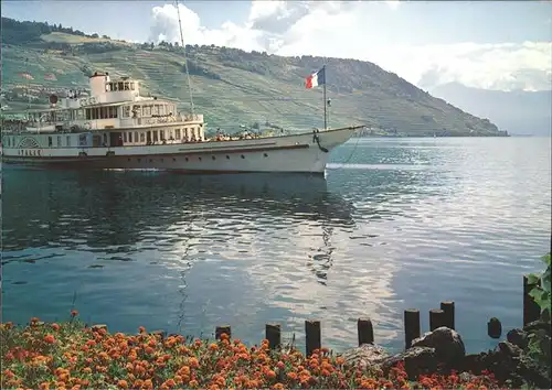 Dampfer Seitenrad Italie Lac Leman Kat. Schiffe