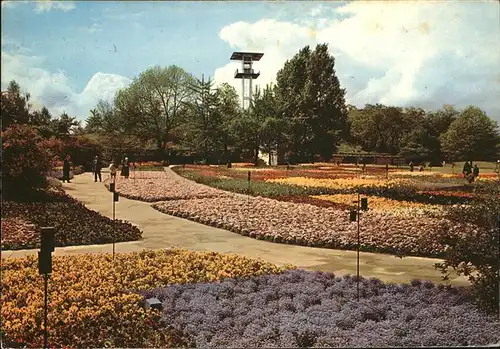 Bundesgartenschau Stuttgart Blumenteppich Aussichtsturm Kat. Expositions