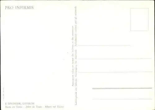 Kuenstlerkarte F. Deringer Baum im Tessin Kat. Kuenstlerkarte