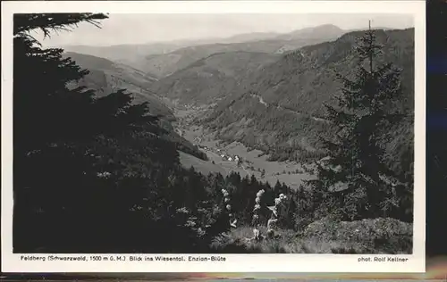 Foto Kellner Rolf Nr. 6830 Feldberg Wiesental Enzian Bluete Kat. Fotografie