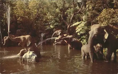 Elefant Rivers of Adventure Disneyland Kat. Tiere