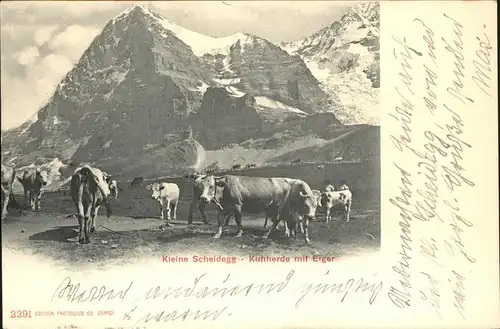 Kleine Scheidegg Wengen Kuhherde Eiger Kat. Scheidegg Kleine