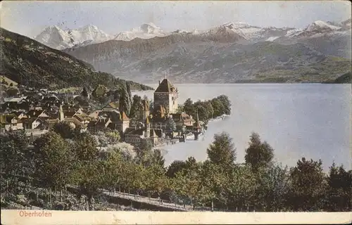 Oberhofen Thunersee Panorama mit Alpenblick Kat. Oberhofen Thunersee