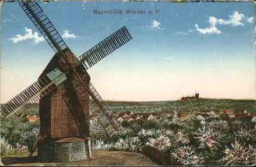 Werder Havel Baumbluete Windmuehle Kat. Werder