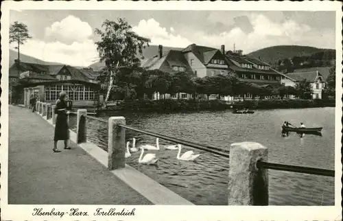 Ilsenburg Harz Forellenteich Schwan / Ilsenburg Harz /Harz LKR