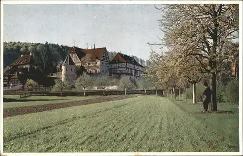 Bebenhausen Tuebingen Suedostpartie Kat. Tuebingen