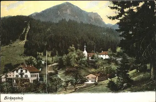 Birkenstein Ortsansicht mit Alpenpanorama Kat. Fischbachau