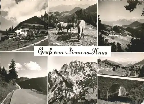 Bayrischzell Siemens Haus Pferde Strasse Bruecke Kat. Bayrischzell