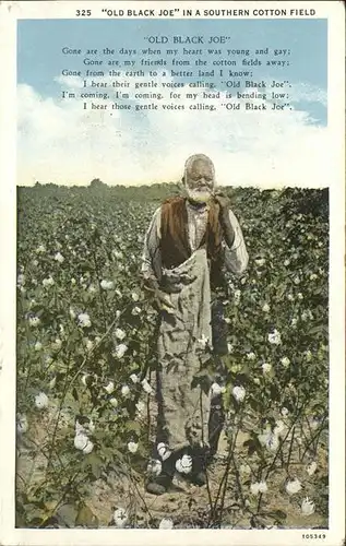 Landwirtschaft Cotton Field Old Black Joe Poesie  Kat. Landwirtschaft