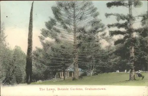 Baeume Trees The Lawn Botanic Gardens Grahamstown Kat. Pflanzen