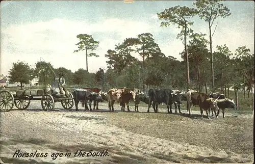 Kuehe Landwirtschaft Gespann Utica N.Y.  Kat. Tiere