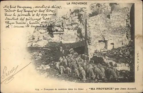 Schafe La Provence moutons Raux Jean Aicard Kat. Tiere