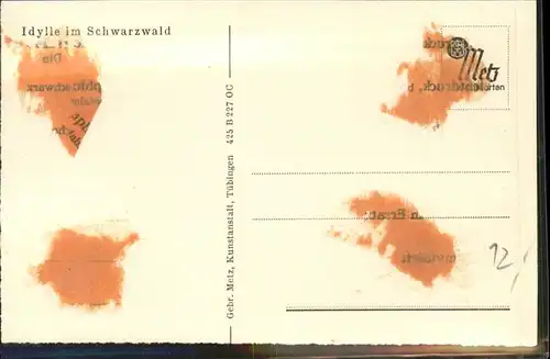 Schwarzwaldhaeuser  / Gebaeude und Architektur /