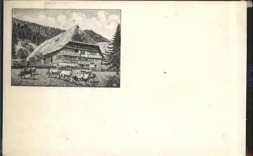 Schwarzwaldhaeuser Bauernhaus Kuehe / Gebaeude und Architektur /