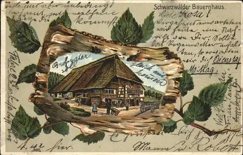 Schwarzwaldhaeuser Bauernhaus  Kat. Regionales