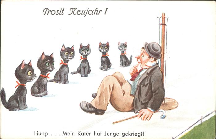 Ansichtskarte Katzen Humor Mit Wackelaugen