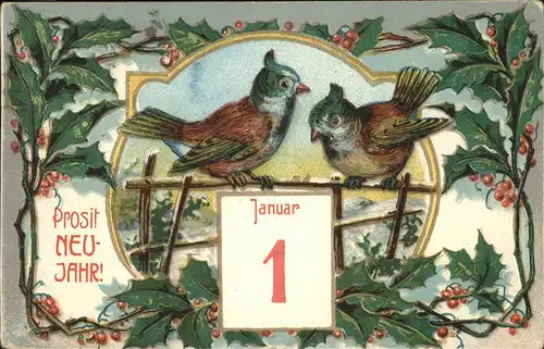 Datumskarte Neujahr Voegel Kat. Besonderheiten