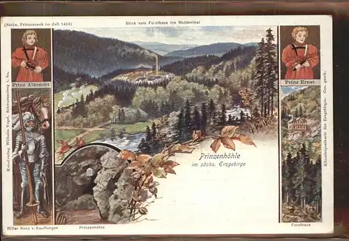 Erzgebirge Region Prinzenhoehle Forsthaus Muldenthal / Annaberg /Erzgebirgskreis LKR