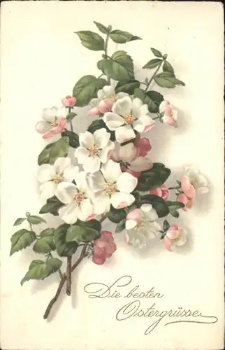 Verlag Meissner und Buch 3031 Ostern Blumen  / Verlage /