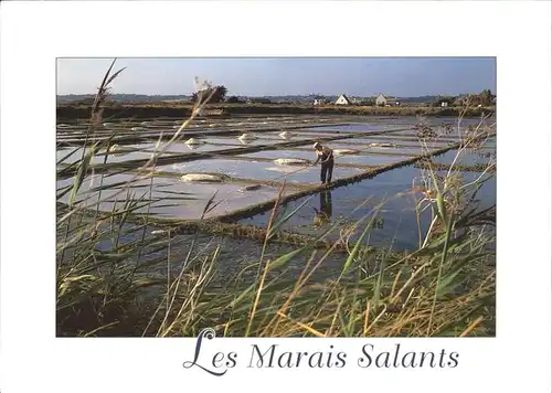 Salzgewinnung Salinenarbeiter Marais Salants Cote D Amour  Kat. Rohstoffe Commodities